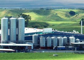 Dairy Plant Dairy Plant