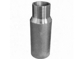 Swage nipple Supplier in India